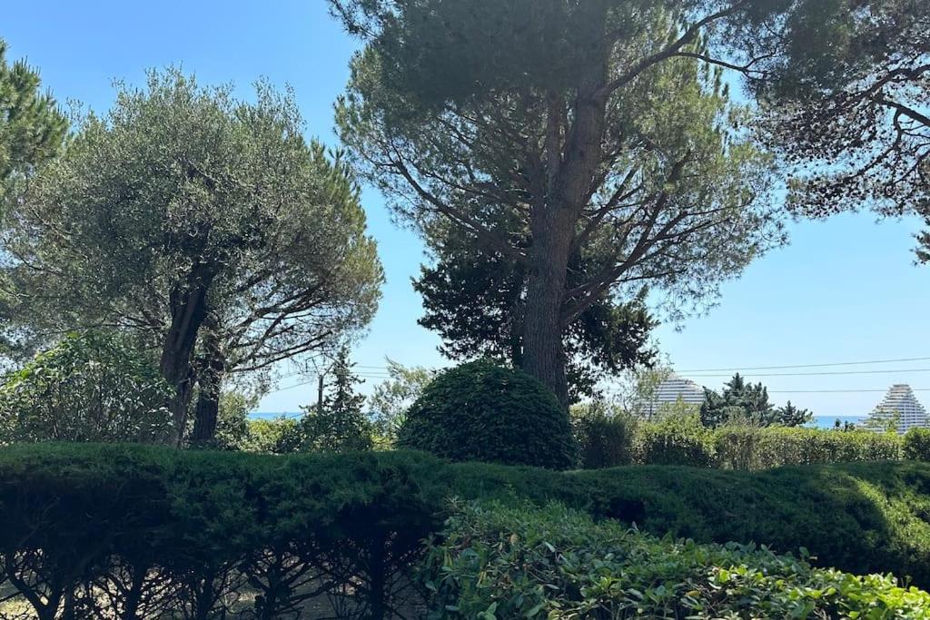Climatise Avec Piscine-tennis-parking * Villeneuve-Loubet