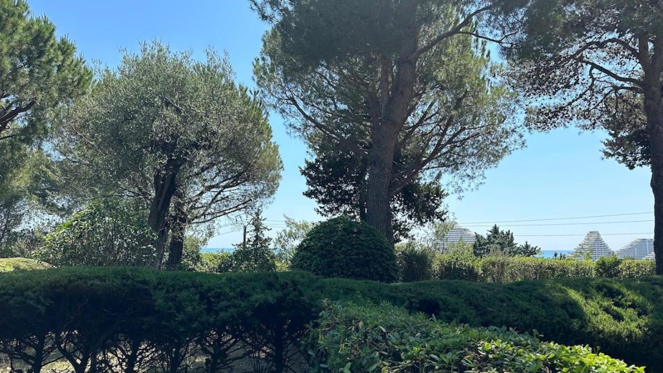 Climatise Avec Piscine-tennis-parking Apartment