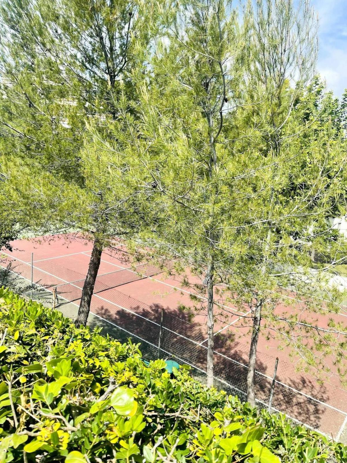 Climatise Avec Piscine-tennis-parking Villeneuve-Loubet